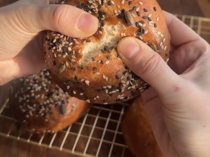 sourdough bagels recipe finished bagels ready to serve and eat