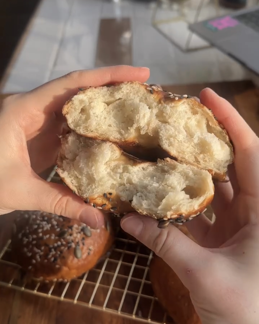 sourdough bagels recipe golden bagels ready to eat with toppings